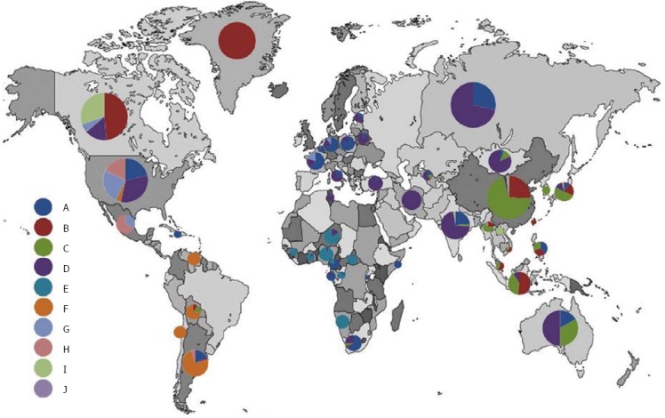 hbv distribution