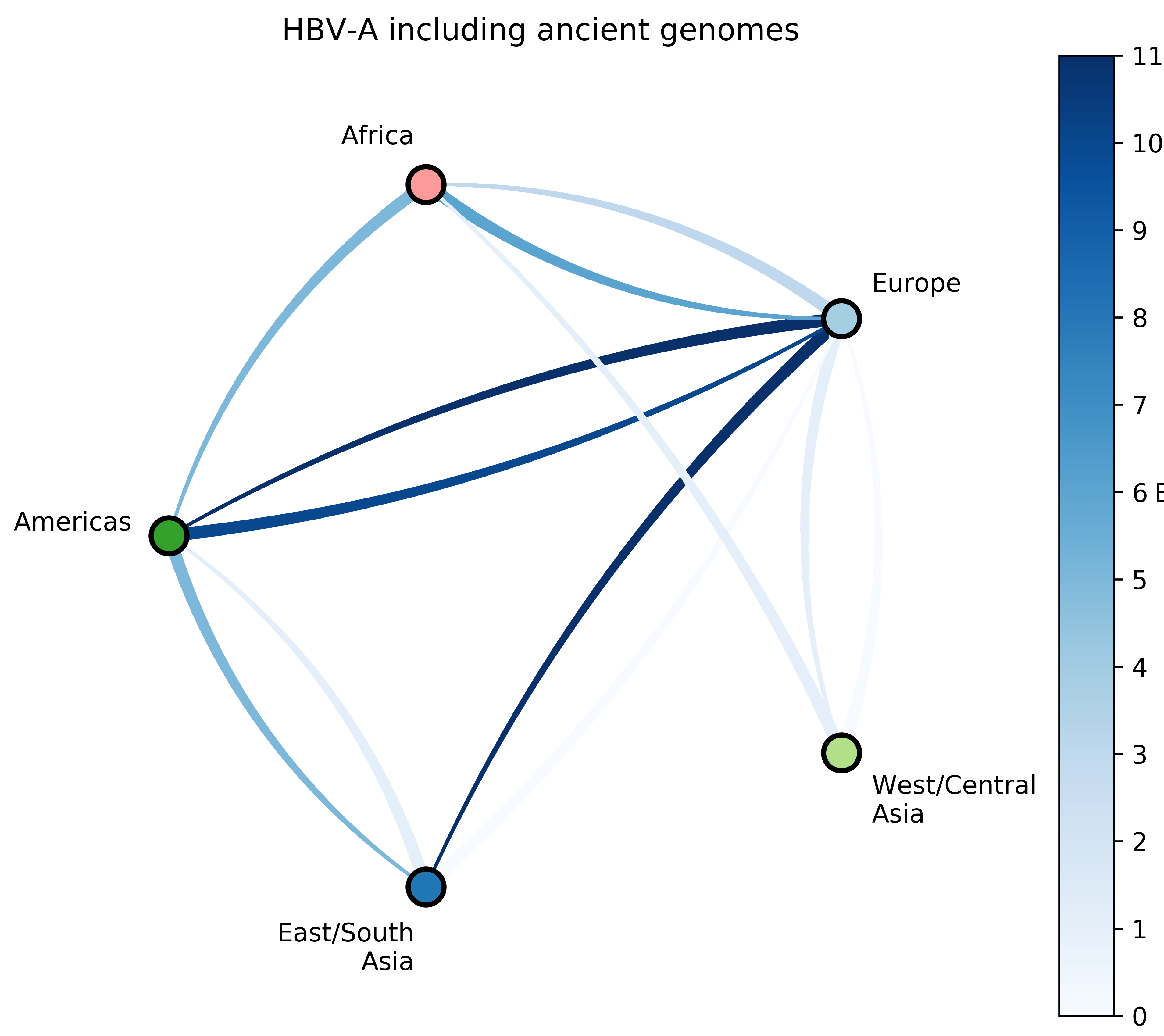 hbv a markov jumps