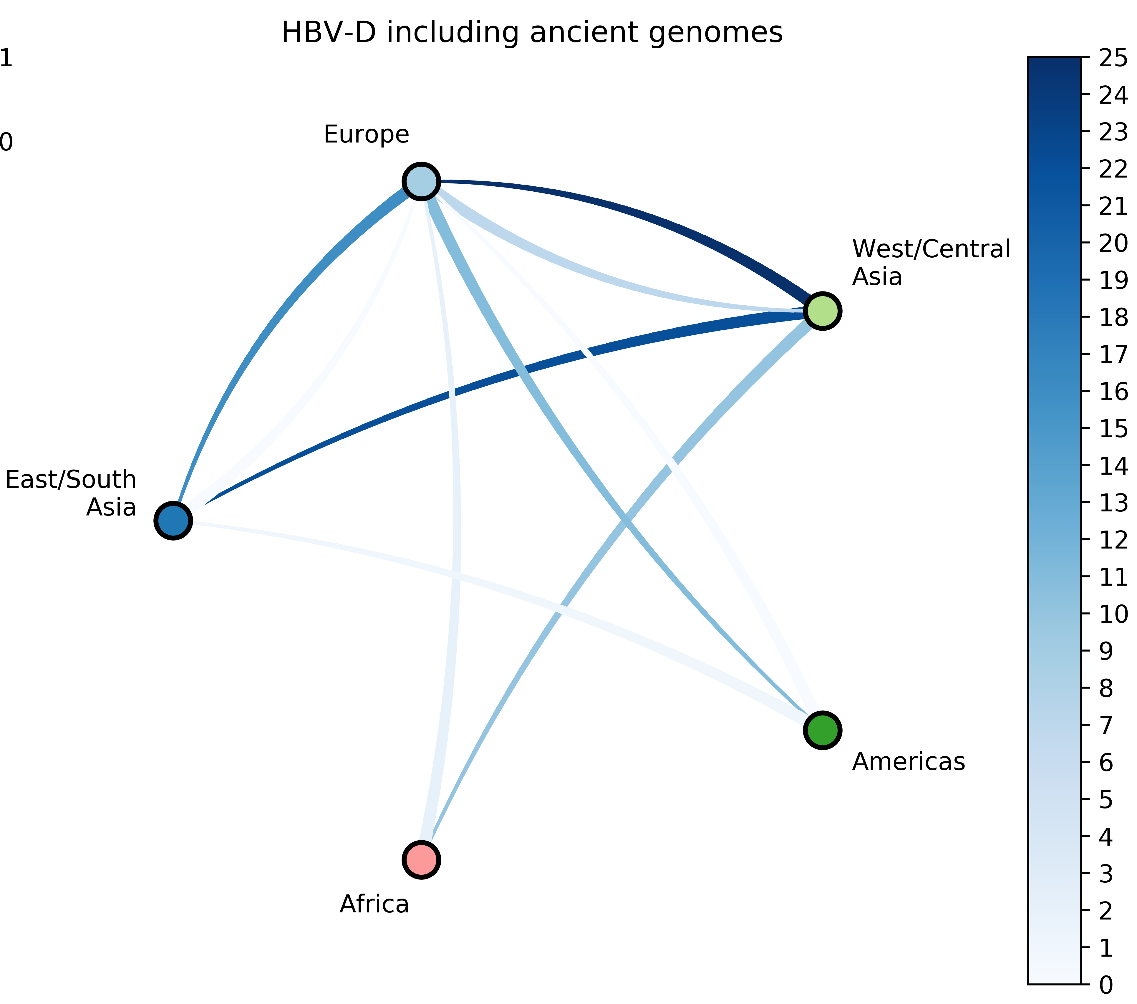 hbv d markov jumps